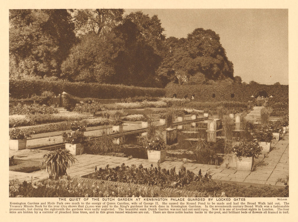 The Dutch garden at Kensington Palace guarded by locked gates 1926 old print